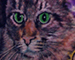 Tattoos - BUTTERFLYING CAT !! - 21304